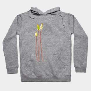 Calyptrae (light) Hoodie